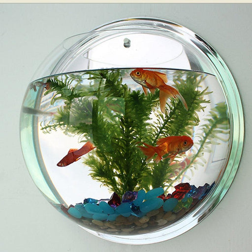 Clear Acrylic 15cm Diameter Wall-Mounted Fish Bowl Aquarium, Versatile Home Decor Accent