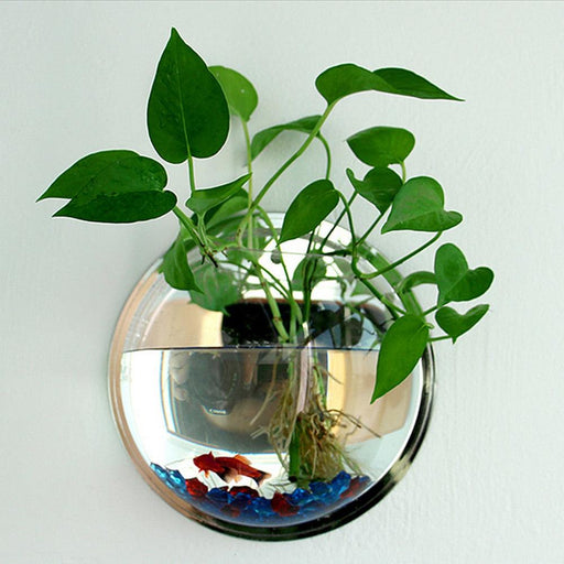 Clear Acrylic 15cm Diameter Wall-Mounted Fish Bowl Aquarium, Versatile Home Decor Accent