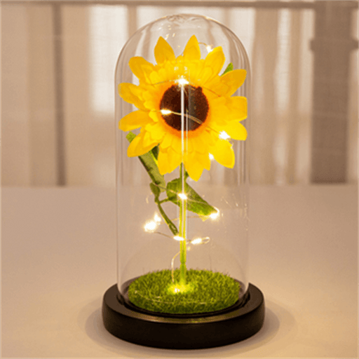 Enchanted LED Glass Dome Rose - Eternal Valentine's Day Keepsake