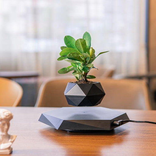 Levitating Magnetic Flower Pot for Indoor Plants - Minimalist Nordic Ins Design