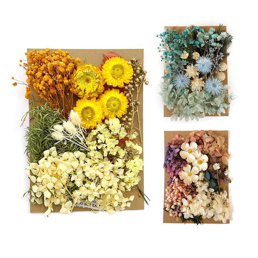 Crafters' DIY Dried Flower Kit: Handicraft Projects Galore