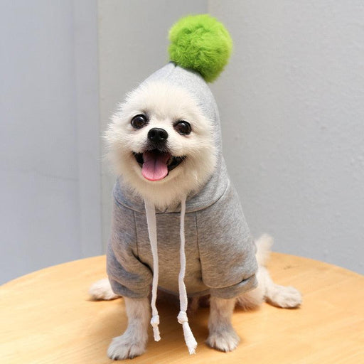 Furry Pooch Winter Coat with Cozy Hood - Colorful Dog Apparel