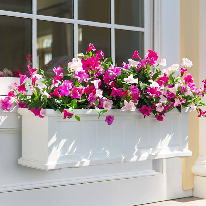 Beautiful Recipes for Window Boxes in Shade - Très Elite