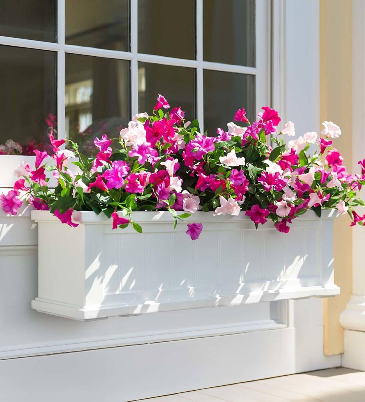Beautiful Recipes for Window Boxes in Shade