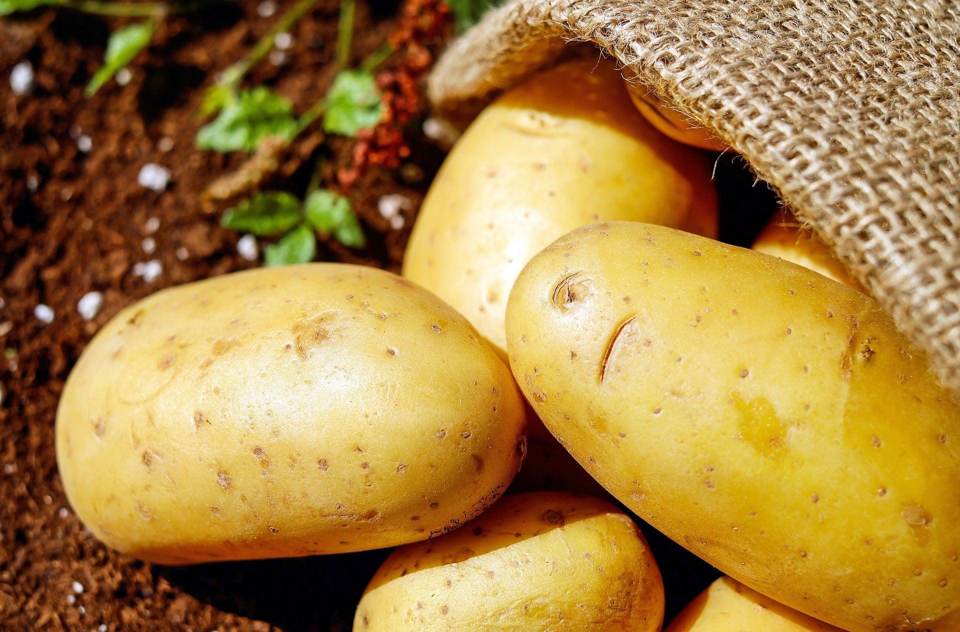 Discover the Top 20 Foods to Soothe Acid Reflux