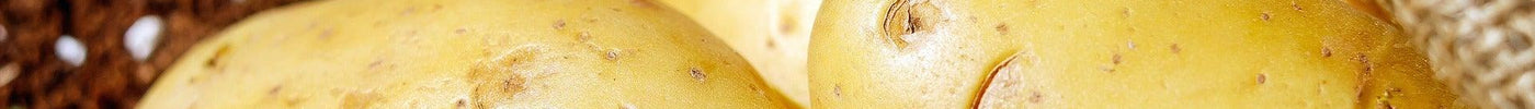 Discover the Top 20 Foods to Soothe Acid Reflux