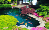 Integrating Fishes into Your Water Lily Garden: Enhancing Biodiversity and Ecosystem Balance
