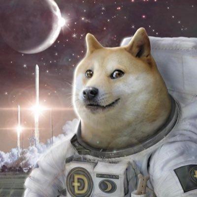 Collection image for: DOGE