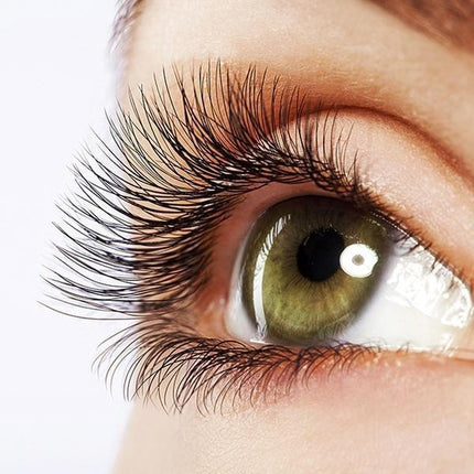 Collection image for: Eyelashes & Wigs