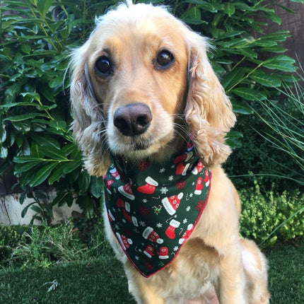Collection image for: Seasonal & Holiday Pet Bandanas