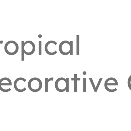 Collection image for: Tropical Decorative Cushions