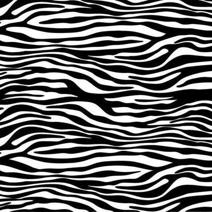 Collection image for: Zebra