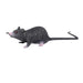 Realistic Lifelike Small Rat Prank Toy for Halloween Decorations