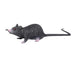 Realistic Small Rat Prank Toy for Halloween Haunts