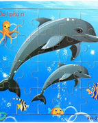 Dolphin