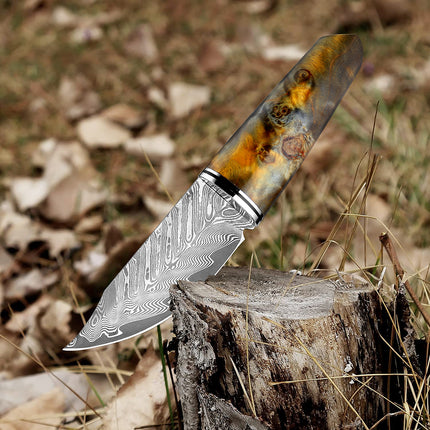 3.5 Inch Damascus Steel Fruit Hunting Knife Stabilized Wood Handle