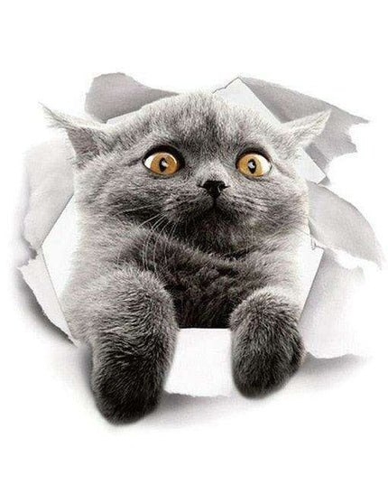 Exquisite 3D Cat Wall Decor Stickers: Elevate Your Home Aesthetics