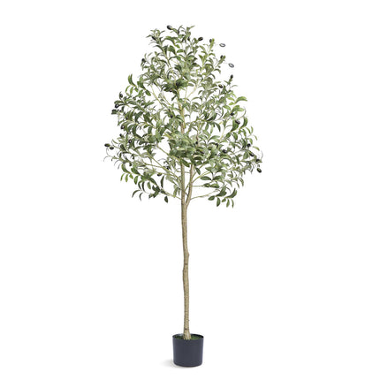 Peekaboo Studio 5 FT Artificial Olive Tree - Lifelike & Low-Maintenanc