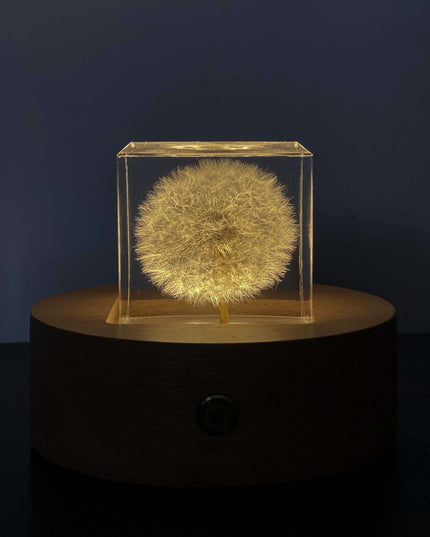 Dandelion Resin Cube with Wooden Base & USB Charger