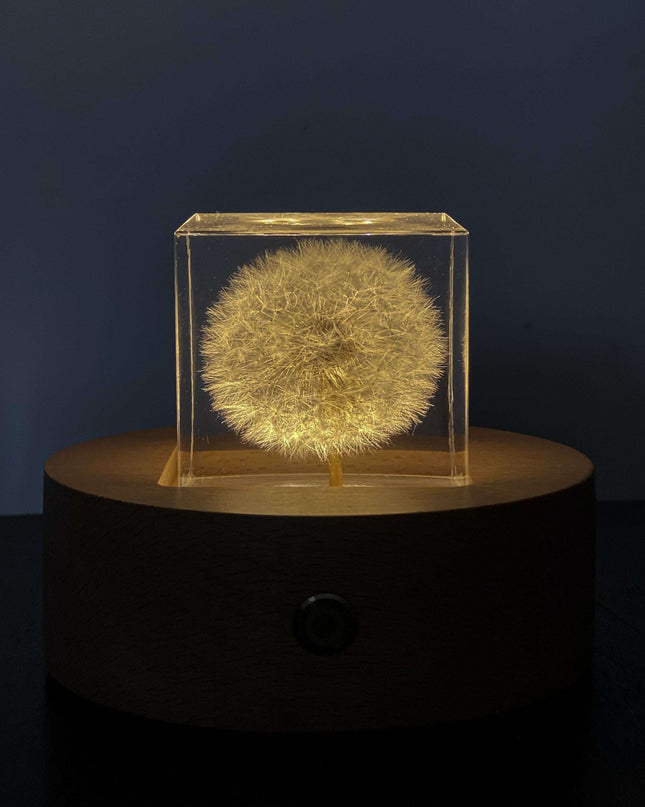 Dandelion Resin Cube with Wooden Base & USB Charger