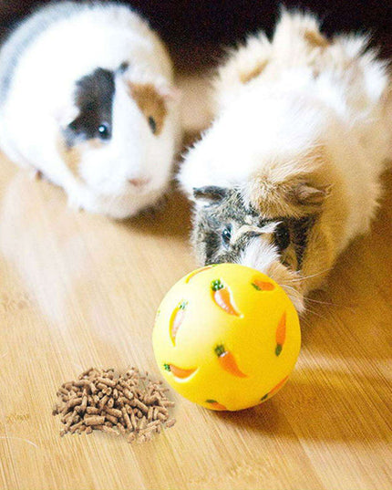 Interactive Rabbit Treat Ball
