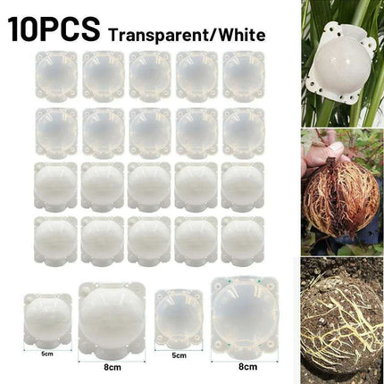 10-Pack High-Pressure Grafting Nursery Boxes for Efficient Indoor & Outdoor Plant Propagation - Très Elite