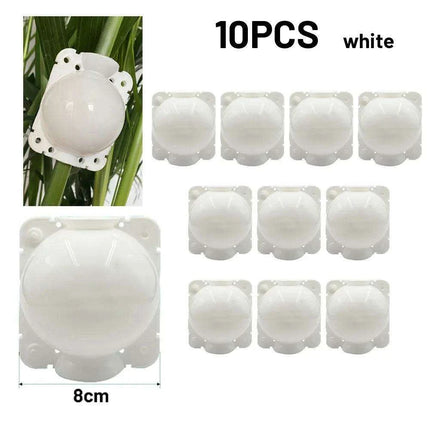 10-Pack High-Pressure Grafting Nursery Boxes for Efficient Indoor & Outdoor Plant Propagation - Très Elite