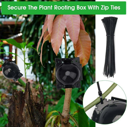 10-Pack Reusable Plant Rooting Spheres for Seamless Air Layering and Propagation - Très Elite