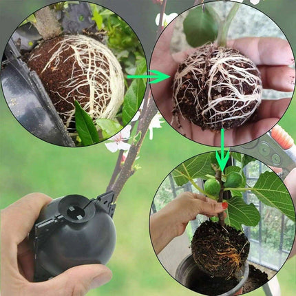 10-Pack Reusable Plant Rooting Spheres for Seamless Air Layering and Propagation - Très Elite