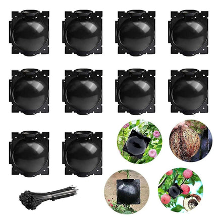 10-Pack Reusable Plant Rooting Spheres for Seamless Air Layering and Propagation - Très Elite