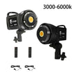2pcs  Light Pack / United States