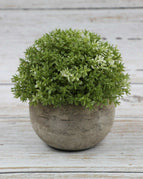 Milanese Grass (Green White)