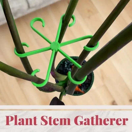 12 Pack Eco-Friendly Plant Support Frames - Stylish Trellis for Enhanced Plant Growth - Très Elite