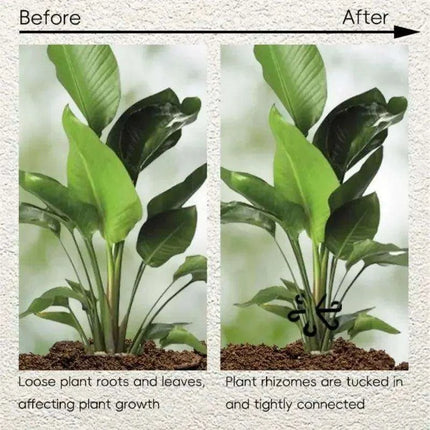 12 Pack Eco-Friendly Plant Support Frames - Stylish Trellis for Enhanced Plant Growth - Très Elite