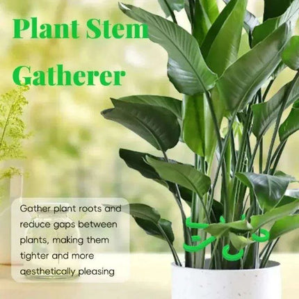 12 Pack Eco-Friendly Plant Support Frames - Stylish Trellis for Enhanced Plant Growth - Très Elite