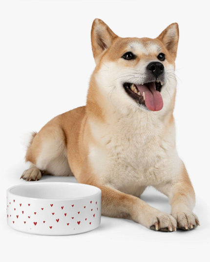Customized Artisan Ceramic Pet Bowl with Distinctive Artwork