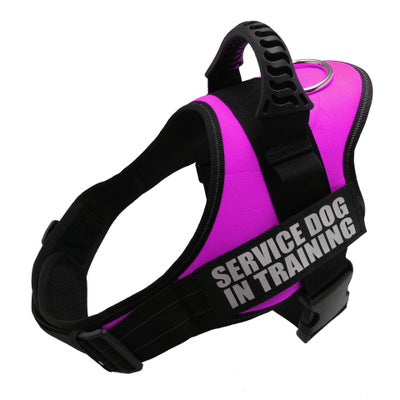 Peekaboo Studio Custom Reflective No-Pull Dog Harness, Adjustable Fit