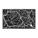 Elegant Black and White Roses Customizable Non-Slip Rug