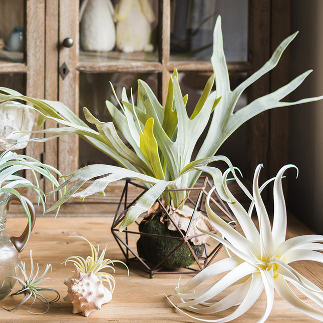Peekaboo Studio Large Artificial Staghorn Fern - Lifelike & Durable