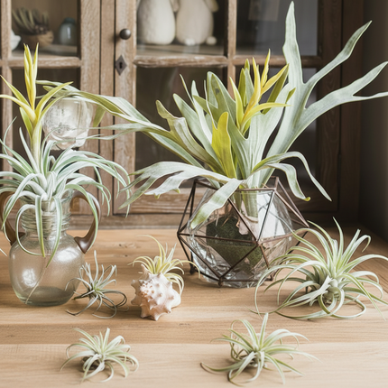 Peekaboo Studio Large Artificial Staghorn Fern - Lifelike & Durable