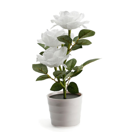 Peekaboo Studio Artificial Flower LED Pot with Timer & Color Change