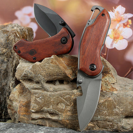 Portable Stainless Steel Folding Mini Fruit Knife Keychain