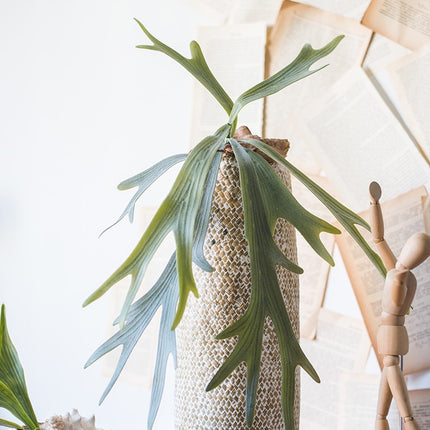Peekaboo Studio Large Artificial Staghorn Fern - Lifelike & Durable