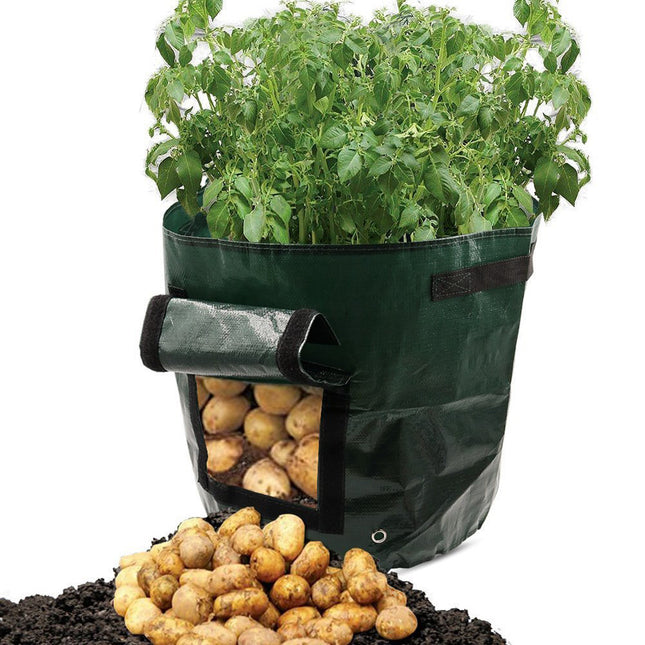 Peekaboo Studio PE Cloth Garden Planting Bag - Durable & Eco-Friendly