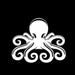 Octopus Vinyl Octagon Sticker for Car Windows and Nurseries in Black/Silver