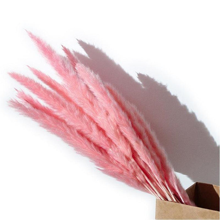 Natural Dried Flowers Reed Grass Bundle - 15 Stems, White and Pink Tones, 50-60cm Length