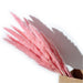 Elegant White and Pink Dried Flowers Reed Grass Bundle - 15 Stems, 50-60cm Length
