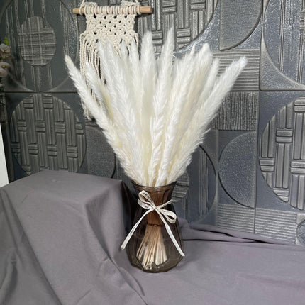 Charming White and Blush Dried Floral Reed Grass Arrangement - 15 Stems, 50-60cm for Home and Event Styling