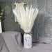 Natural Dried Flowers Reed Grass Bundle - 15 Stems, White and Pink Tones, 50-60cm Length