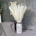 Charming White and Blush Dried Floral Reed Grass Arrangement - 15 Stems, 50-60cm for Home and Event Styling